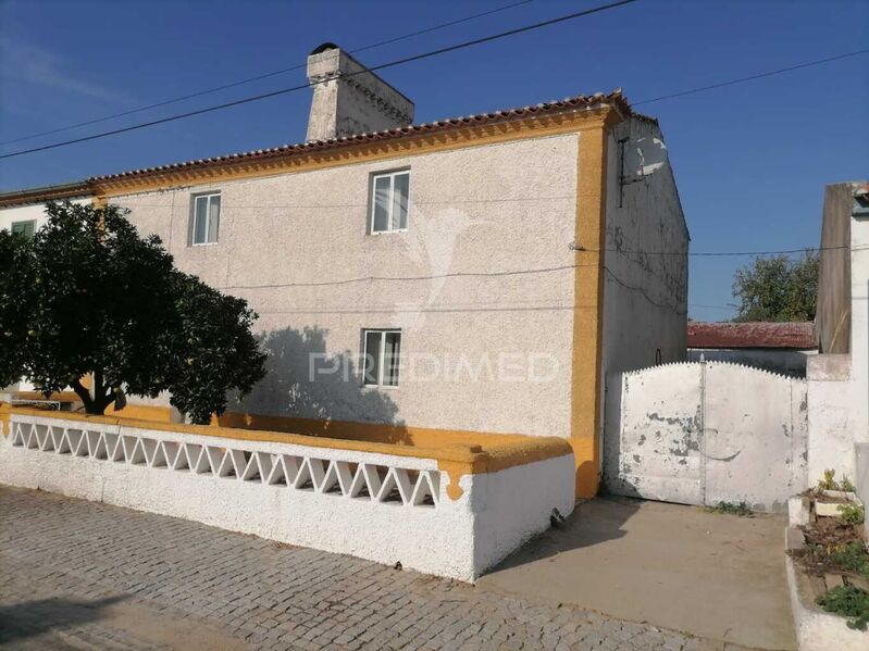 House 4 bedrooms Typical spacious Alagoa Portalegre - backyard