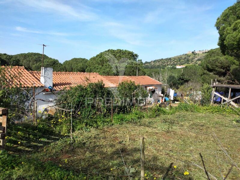 Small farm 3 bedrooms Santiago do Cacém - fruit trees