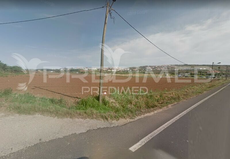 Land with 5000sqm Lourinhã