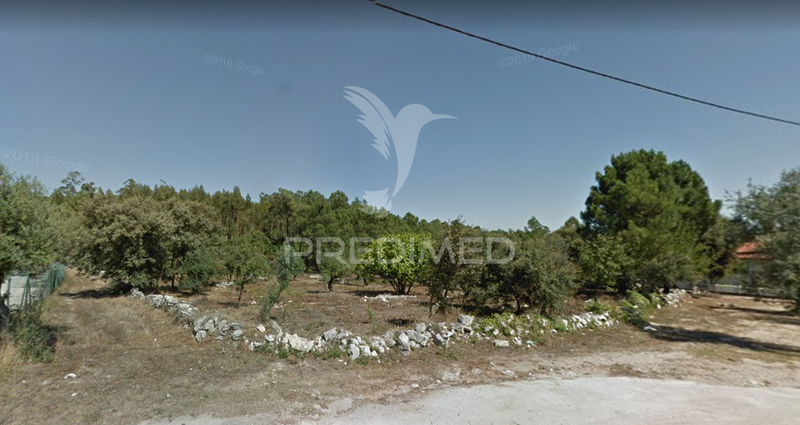 Terreno com 4534m2 Fátima Ourém para vender