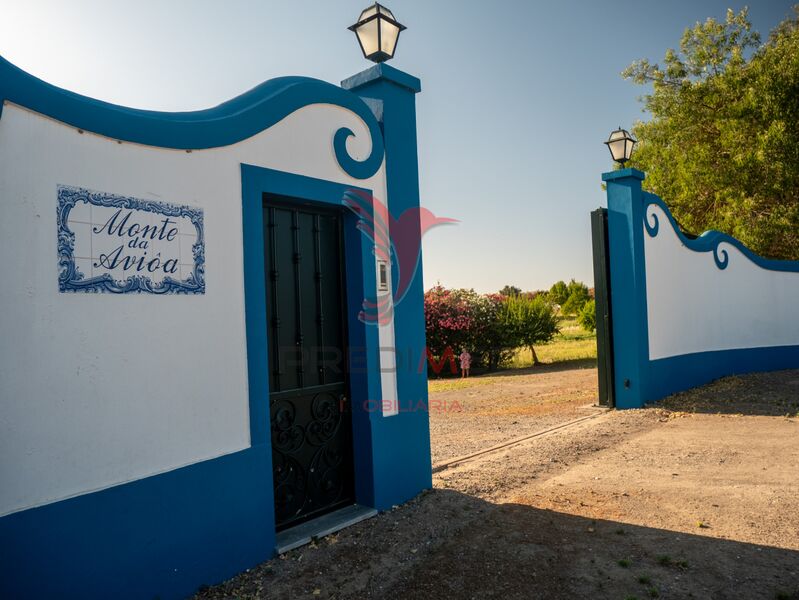 Quinta/Herdade V5 Ferreira do Alentejo - ar condicionado, terraço, garagem, água, lareira, caldeira, piscina, jardim, bbq, painéis solares, árvores de fruto