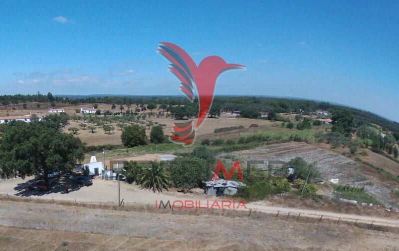 Terreno Agrícola com 5000m2 para venda Vale de Água Santiago do Cacém - electricidade, água, poço