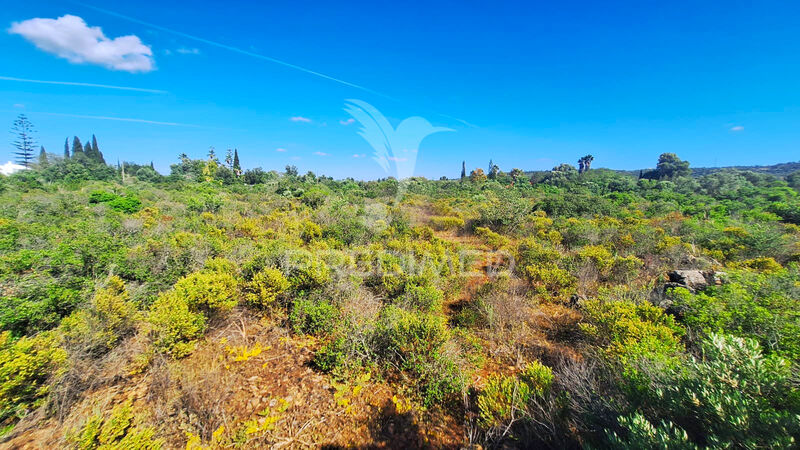 Land with 5000sqm Silves
