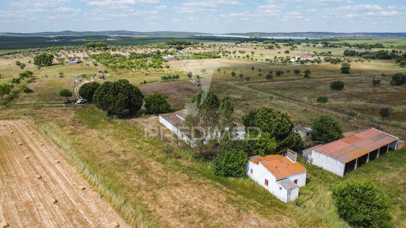 Farm 0 bedrooms well located Torrão Alcácer do Sal - well, olive trees, fruit trees, cork oaks, water