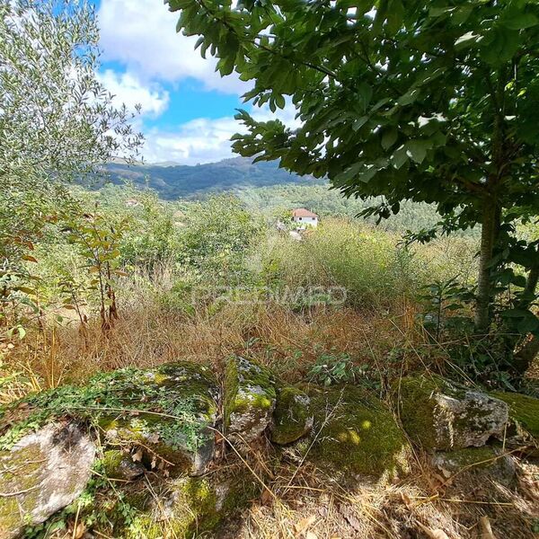 Land Rossas Vieira do Minho