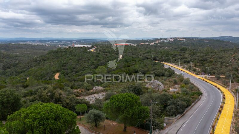 Land Rustic with 3500sqm Fátima Ourém - nice location