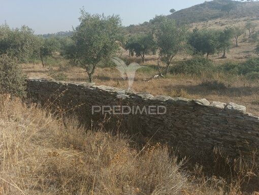 Land with 30175sqm São Pedro Terena Alandroal - cork oaks, olive trees, water, well