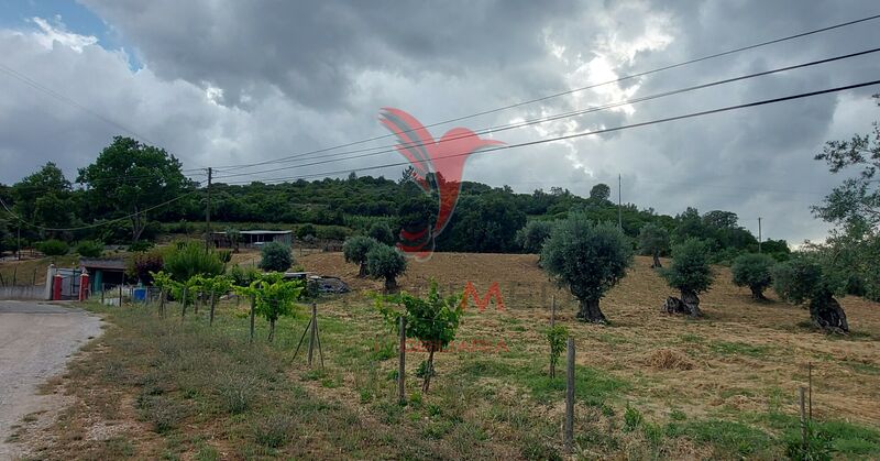 À venda Terreno com 5153m2 Pernes Santarém