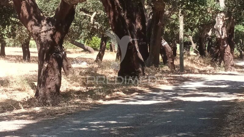 Land Rustic with 38320sqm Moita
