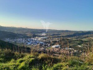 Terreno Agrícola com 4400m2 Vila Franca de Xira
