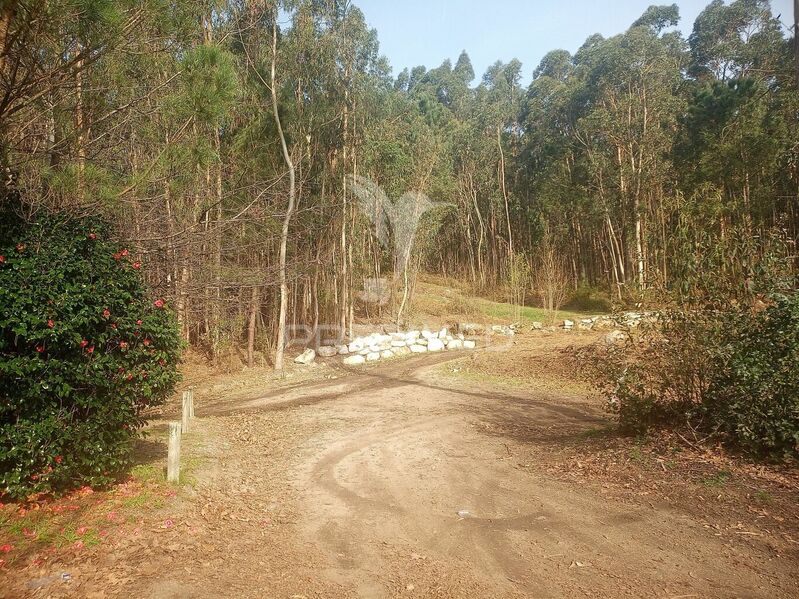 Land with 14330sqm Barcelos - excellent access, electricity