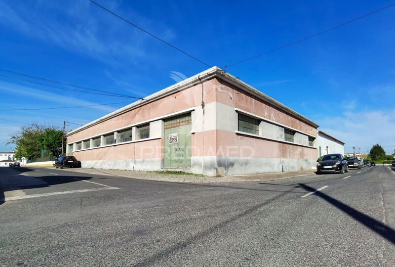 Warehouse with 900sqm Golegã - easy access