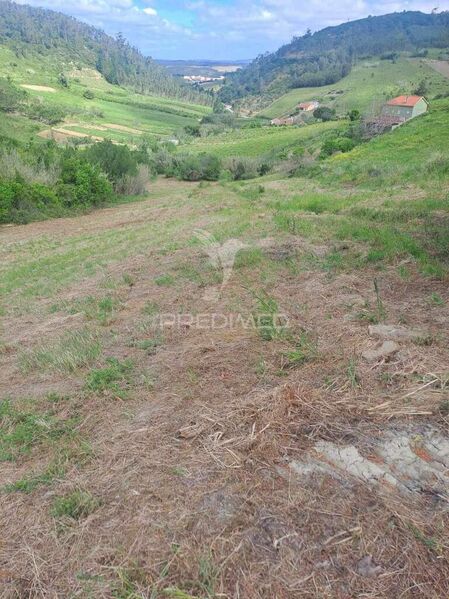 Terreno Agrícola com 7080m2 Vilar Cadaval