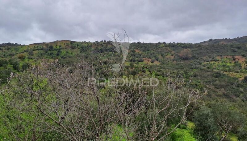 Terreno Rústico com 5375m2 Santa Catarina da Fonte do Bispo Tavira