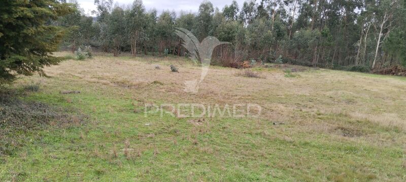 Terreno para construção Pinheiro Felgueiras - excelente localização
