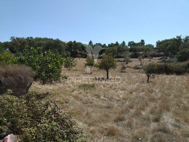 Plot of land with 12250sqm Alagoa Portalegre - easy access, nice location