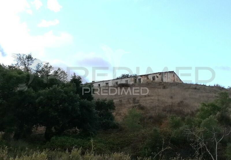 Casa/Vivenda São Bartolomeu de Messines Silves