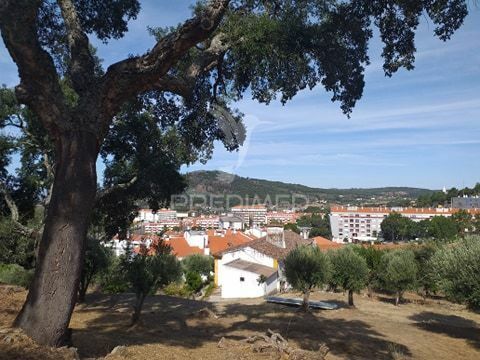 Terreno novo com 16600m2 Portalegre