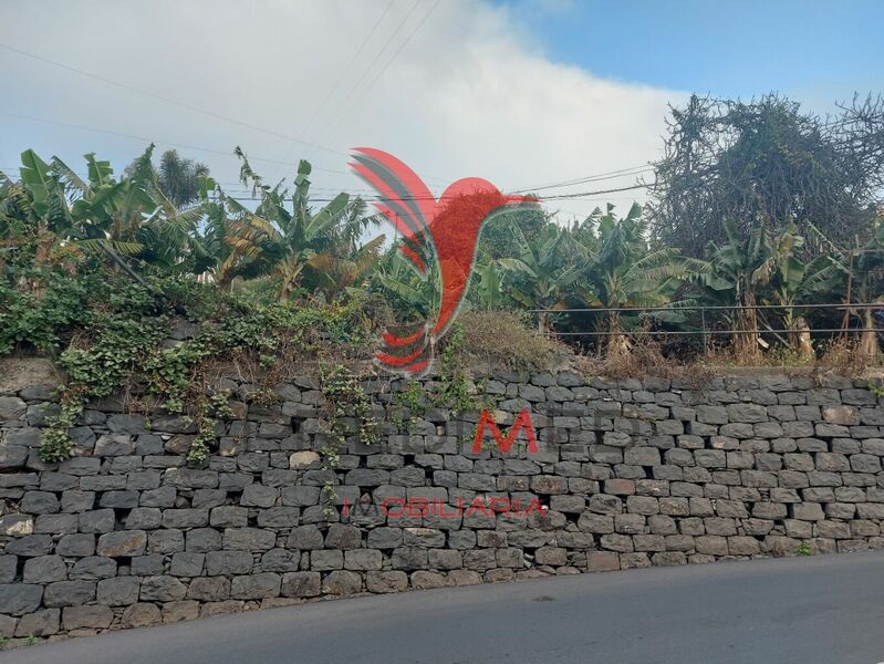 Terreno novo com 890m2 Ribeira Brava para venda