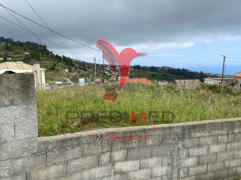 Terreno plano Canhas Ponta do Sol para venda - garagem, vista mar