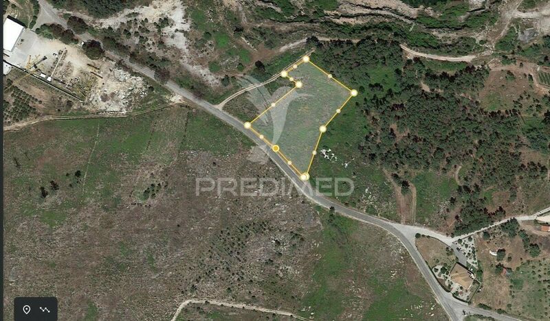 Land with 4500sqm Mangualde