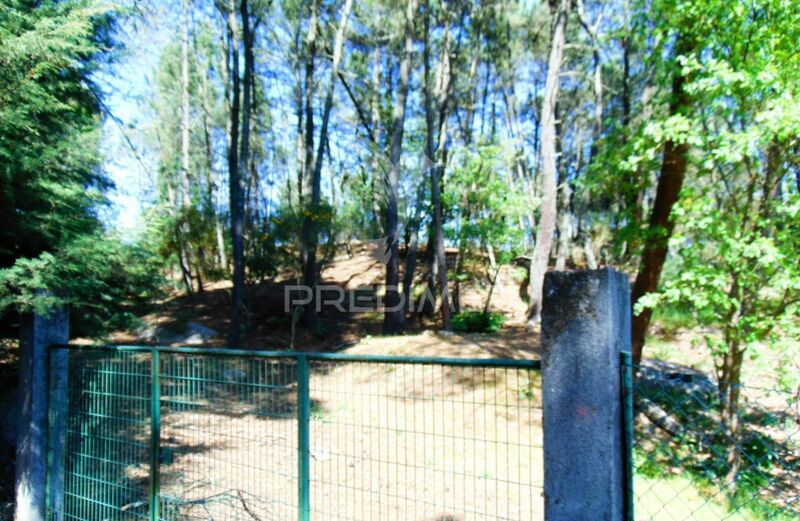 Land Agricultural with 17960sqm Parada de Cunhos Vila Real - electricity, water, excellent access, tank
