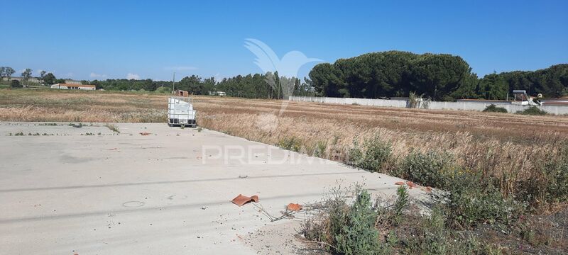 Terreno Urbano com 11536m2 Foros de Salvaterra Salvaterra de Magos - zona muito sossegada, água, luz