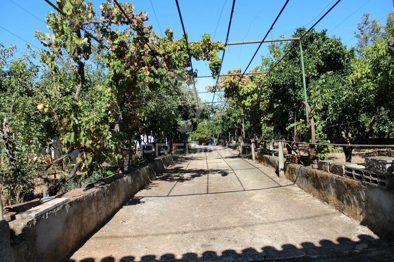 небольшая усадьба V2 Vila Viçosa - фруктовые деревья, цистерна, терраса, колодец, электричество, гараж, камин, завораживающие панорамы, вода