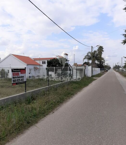 Terreno com 7027m2 Santo Isidro de Pegões Montijo - furo, água da rede, electricidade