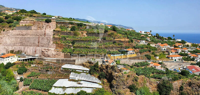 Terreno novo com 820m2 Ponta do Sol