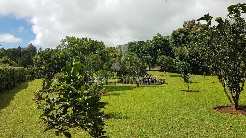 Terreno com 2900m2 Terra Chã Angra do Heroísmo