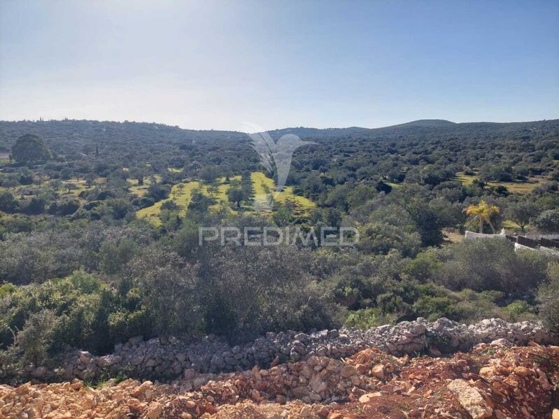 Land with approved project São Brás de Alportel