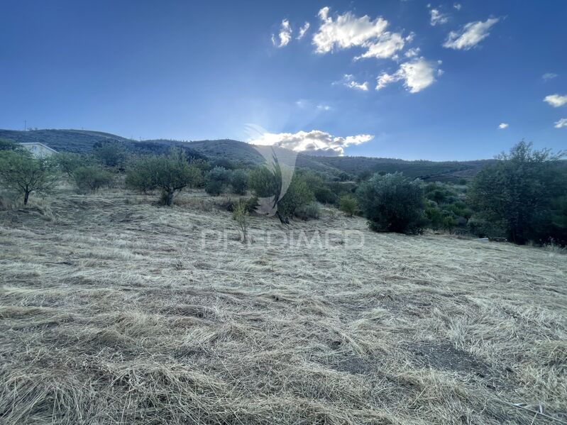 Lote de terreno novo com 4550m2 Freixo de Numão Vila Nova de Foz Côa