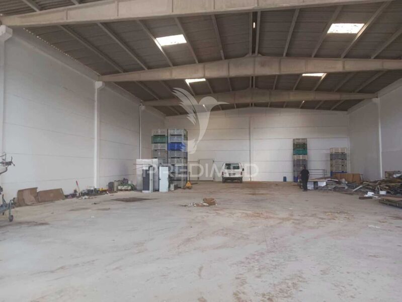 Warehouse Industrial with 800sqm Palmela