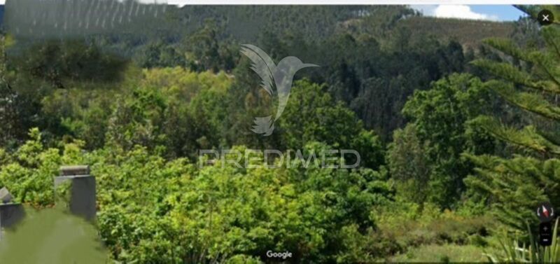 Land with 6300sqm Sever do Vouga