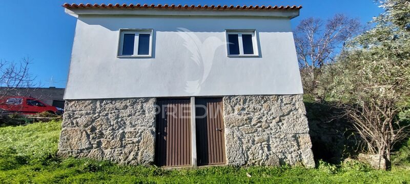 Farm 6 bedrooms Covilhã - water, fruit trees