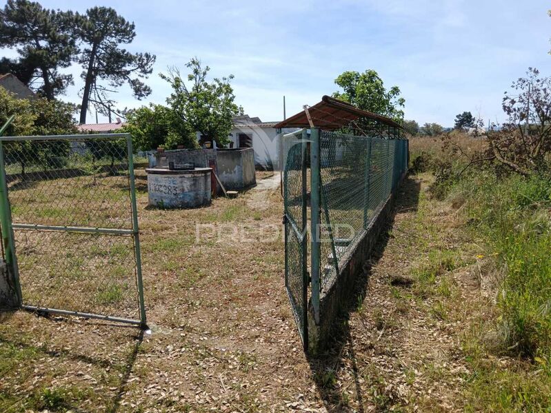 Land with 350sqm Quinta do Anjo Palmela - water hole, fruit trees, water, tank, well