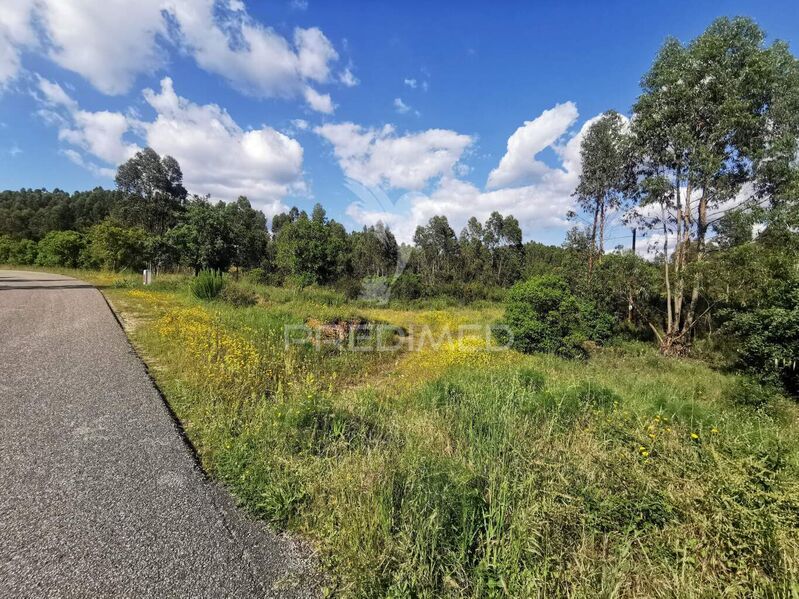 Land Rustic with 6280sqm Praia do Ribatejo Vila Nova da Barquinha - excellent access