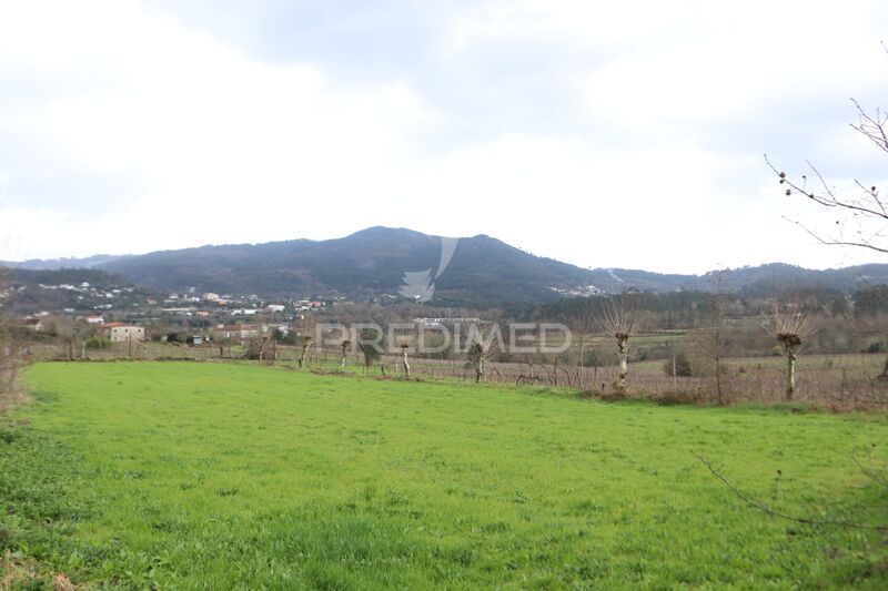 Land Agricultural flat Coucieiro Vila Verde - great location