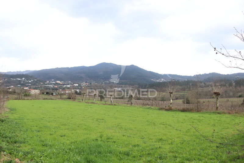 Terreno Agrícola plano Coucieiro Vila Verde - excelente localização