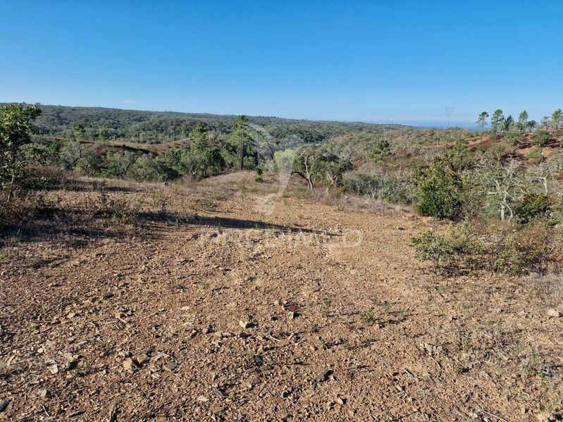 Terreno com ruína São Francisco da Serra Santiago do Cacém - viabilidade de construção