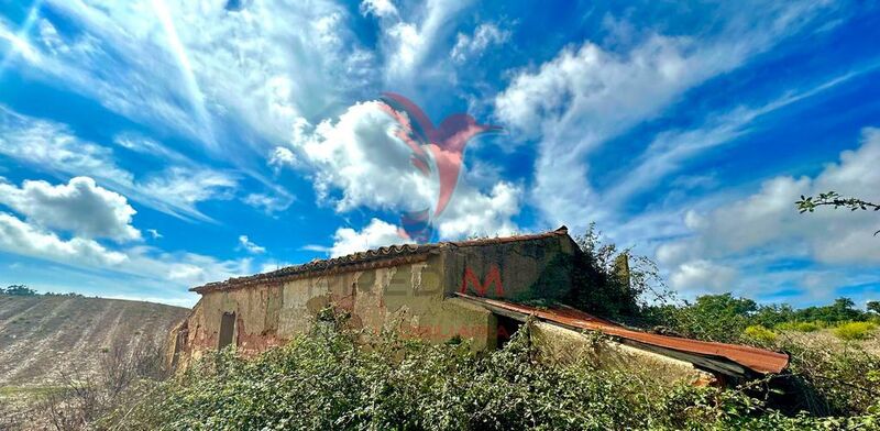 Chácara/Sítio/Fazenda Sines - água, poço, furo, luz, excelentes acessos