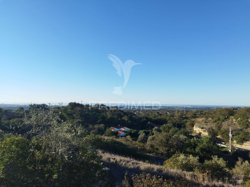 Land with 6000sqm Boliqueime Loulé