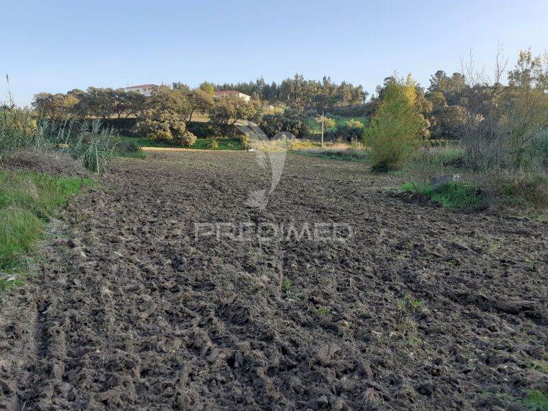 Land Rustic with 4200sqm Assentiz Torres Novas - electricity, water, well