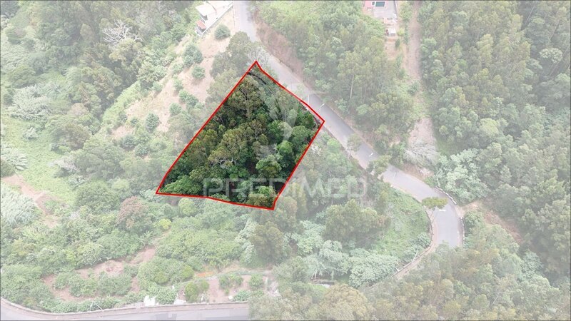 Terreno Rústico com 1.440m² Fonte dos Almocreves Santa Cruz