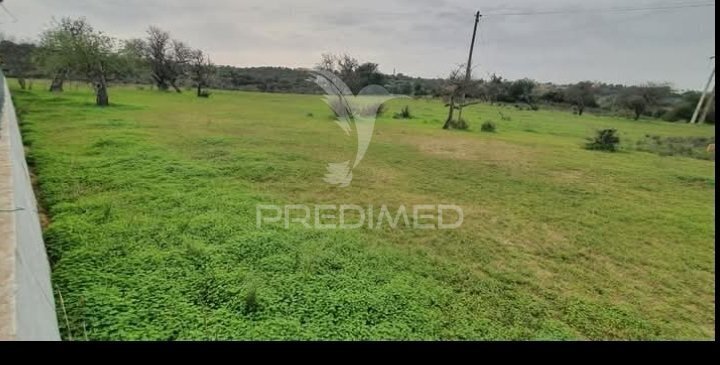 Terrain Rustique with 2920sqm Guia Albufeira