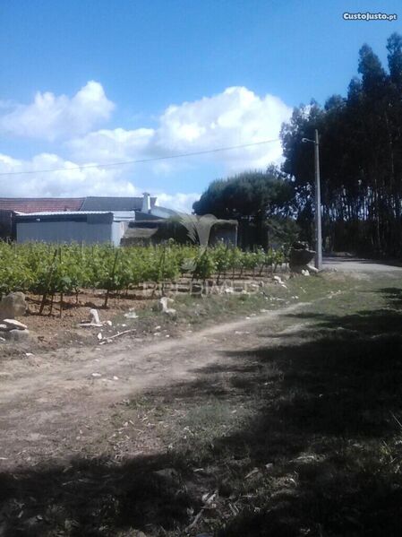 Land nieuw with 6200sqm Lourinhã - good access
