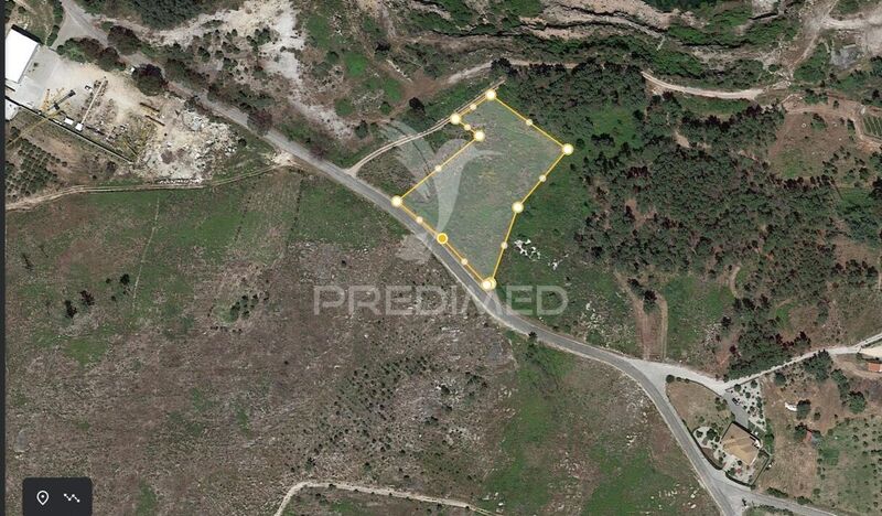Land Rustic with 4500sqm Freixiosa Mangualde - easy access, nice location