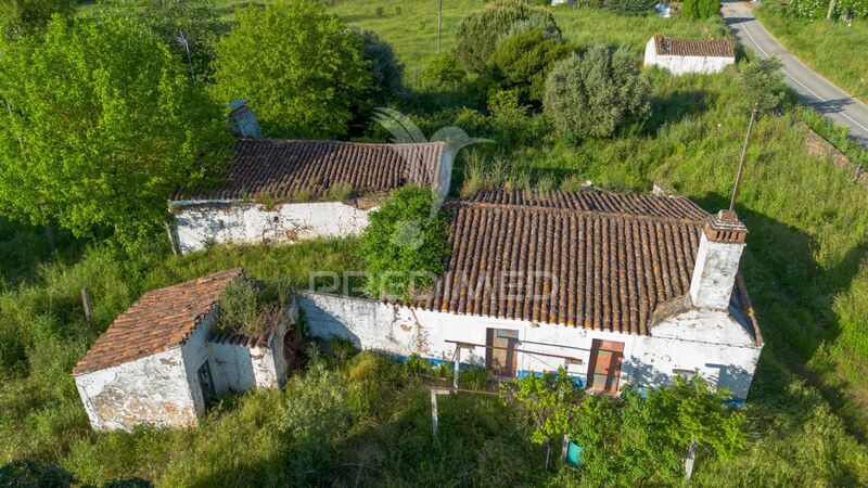 Homestead 4 bedrooms to recover Estremoz - olive trees, water, fruit trees, water hole, electricity