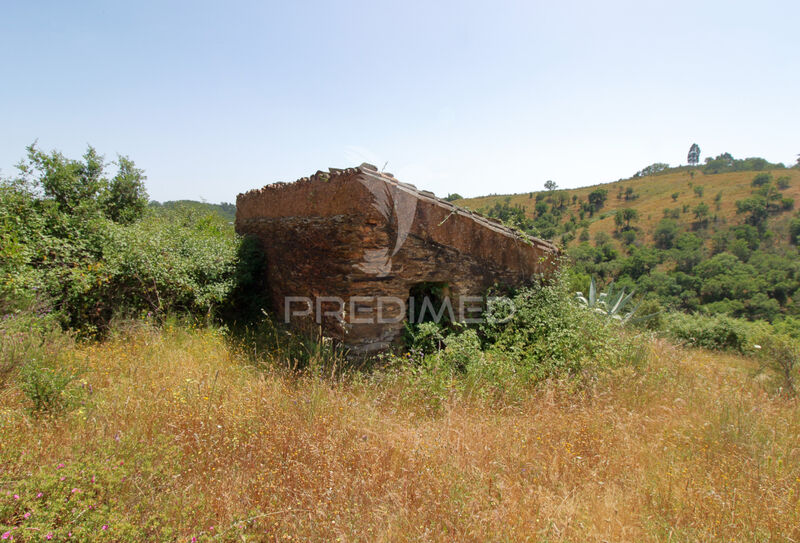 Farm 3 bedrooms Odemira - cork oaks, electricity